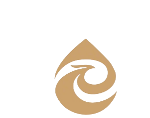 Xiamen Rol Technology Co., Ltd.